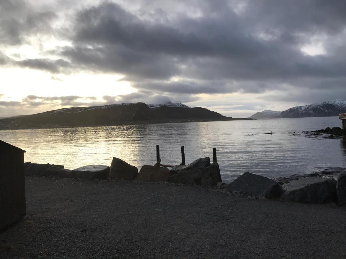 Lofoten Havfiske Лекнес Экстерьер фото