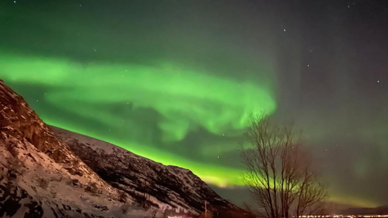 Lofoten Havfiske Лекнес Экстерьер фото