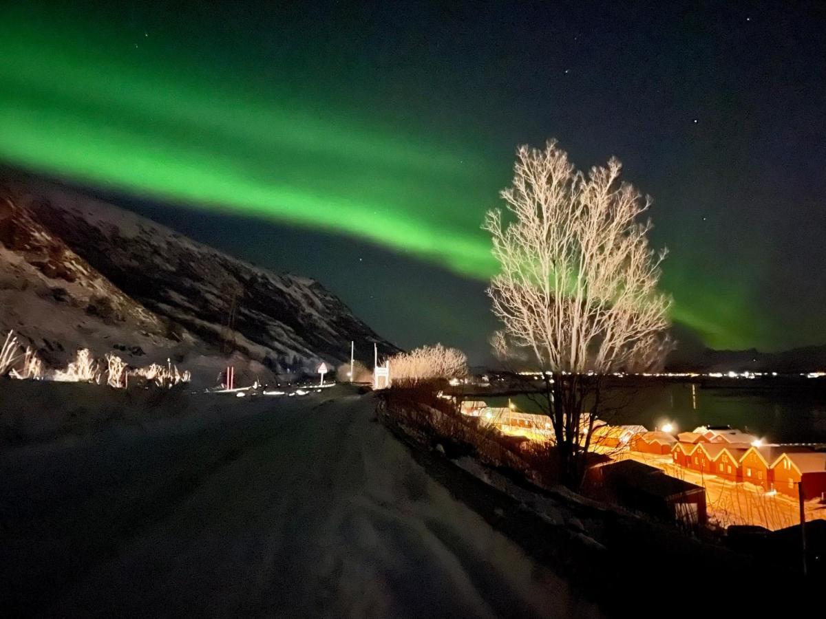 Lofoten Havfiske Лекнес Экстерьер фото