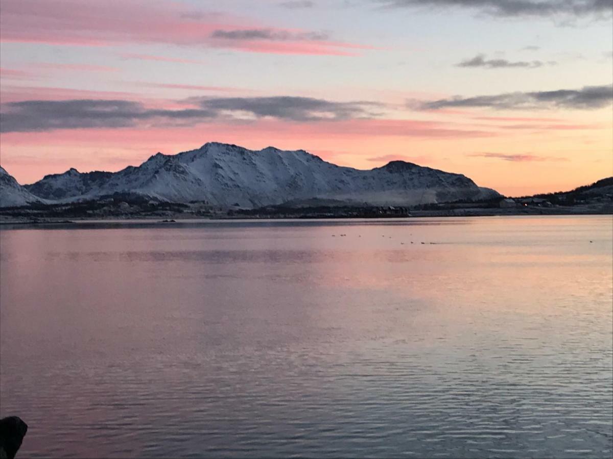 Lofoten Havfiske Лекнес Экстерьер фото
